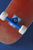 skateboardDSC6981b.jpg (132133 bytes)